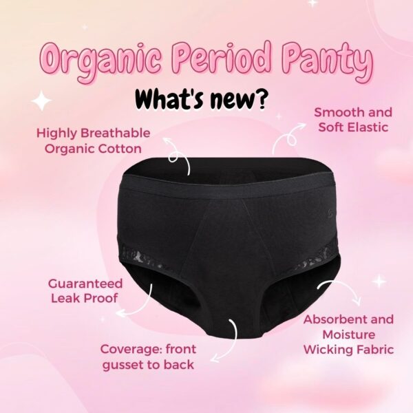 Period Panty - Brief - Image 5